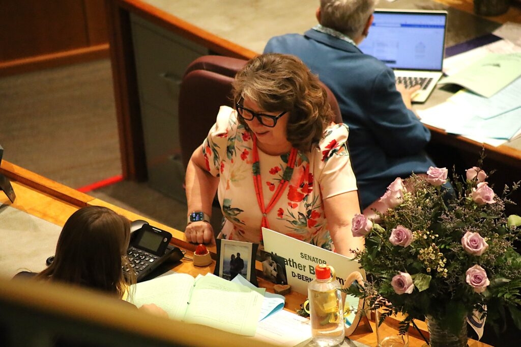 Domestic violence funding easily passes through judiciary panels