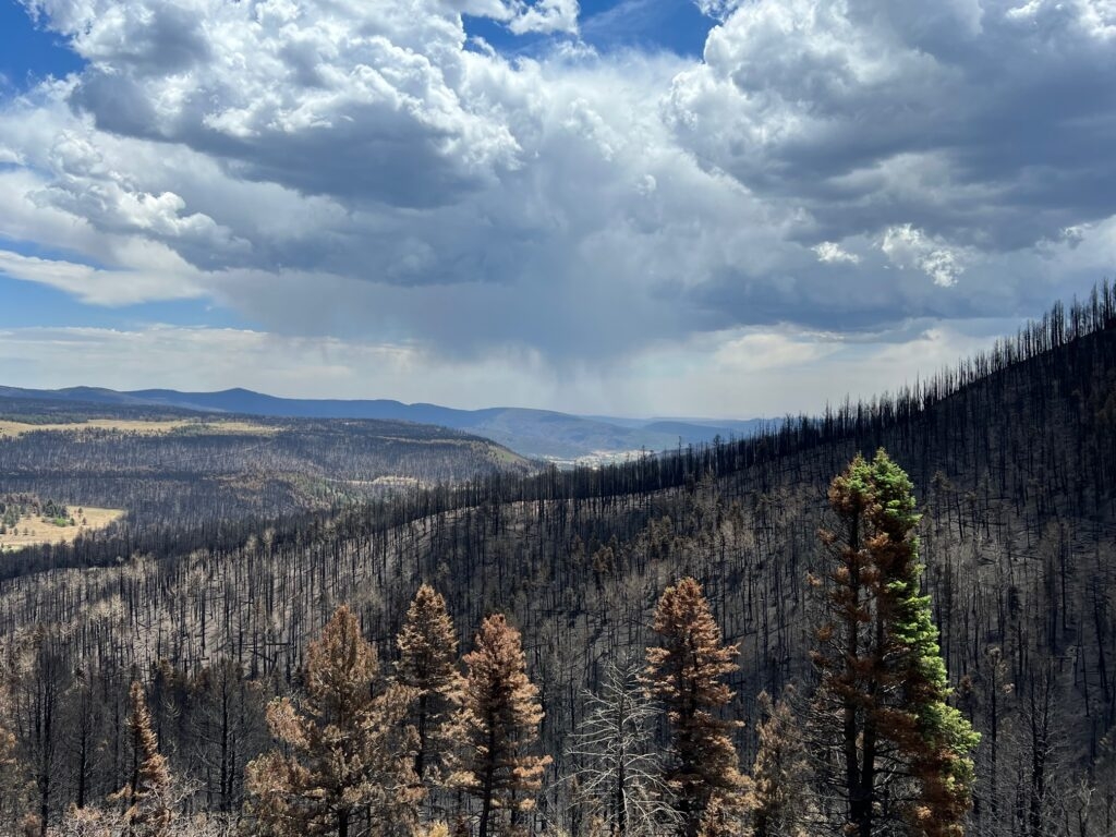 FEMA to spend $377M administering Hermits Peak-Calf Canyon fire compensation program, records show