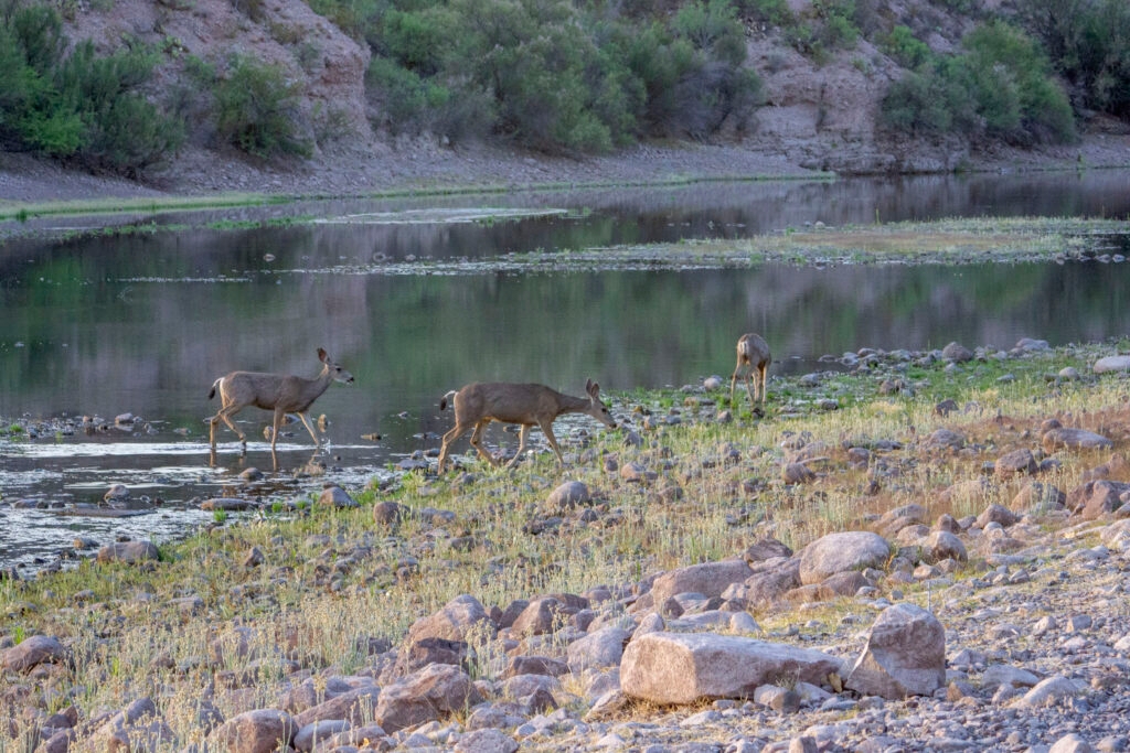 Possible settlement reached in long-running Rio Grande dispute