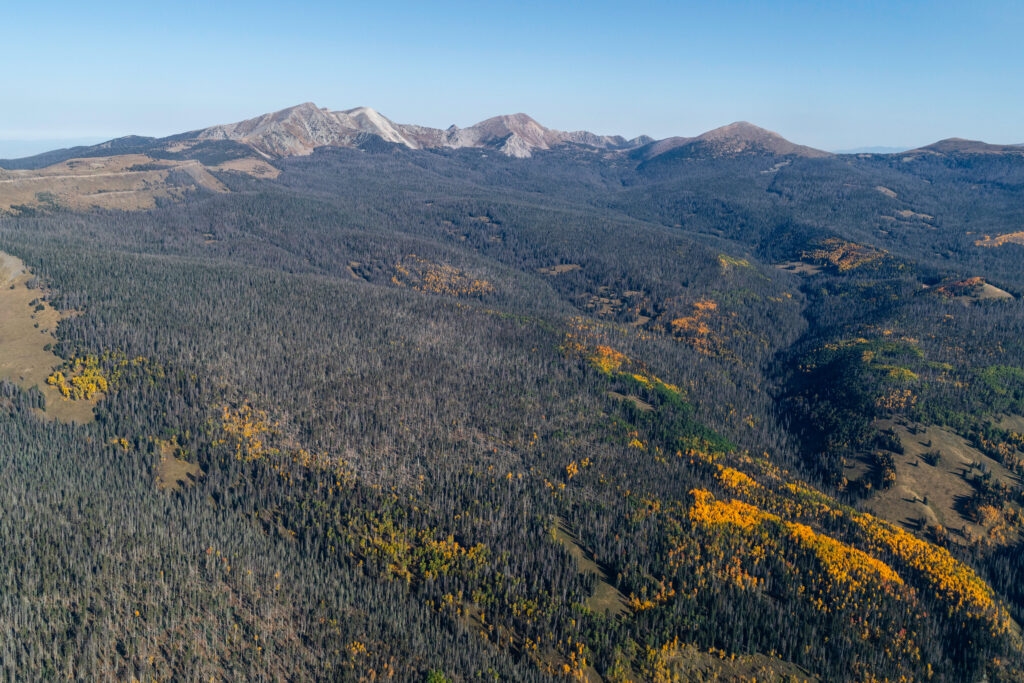 New Mexico delegation re-introduces bill to protect Pecos watershed
