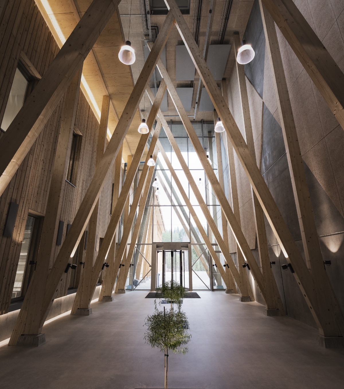 Material World: Suzano Sells Woodspin Shares to Spinnova