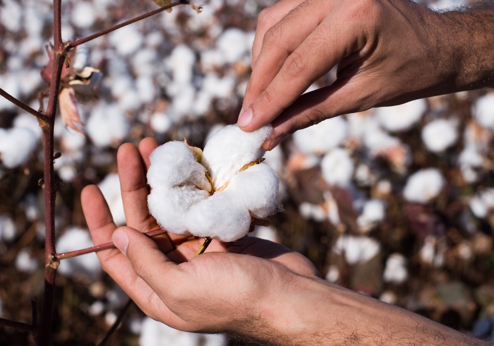 Better Cotton Aims to Improve Healthcare for Côte d'Ivoire Workers