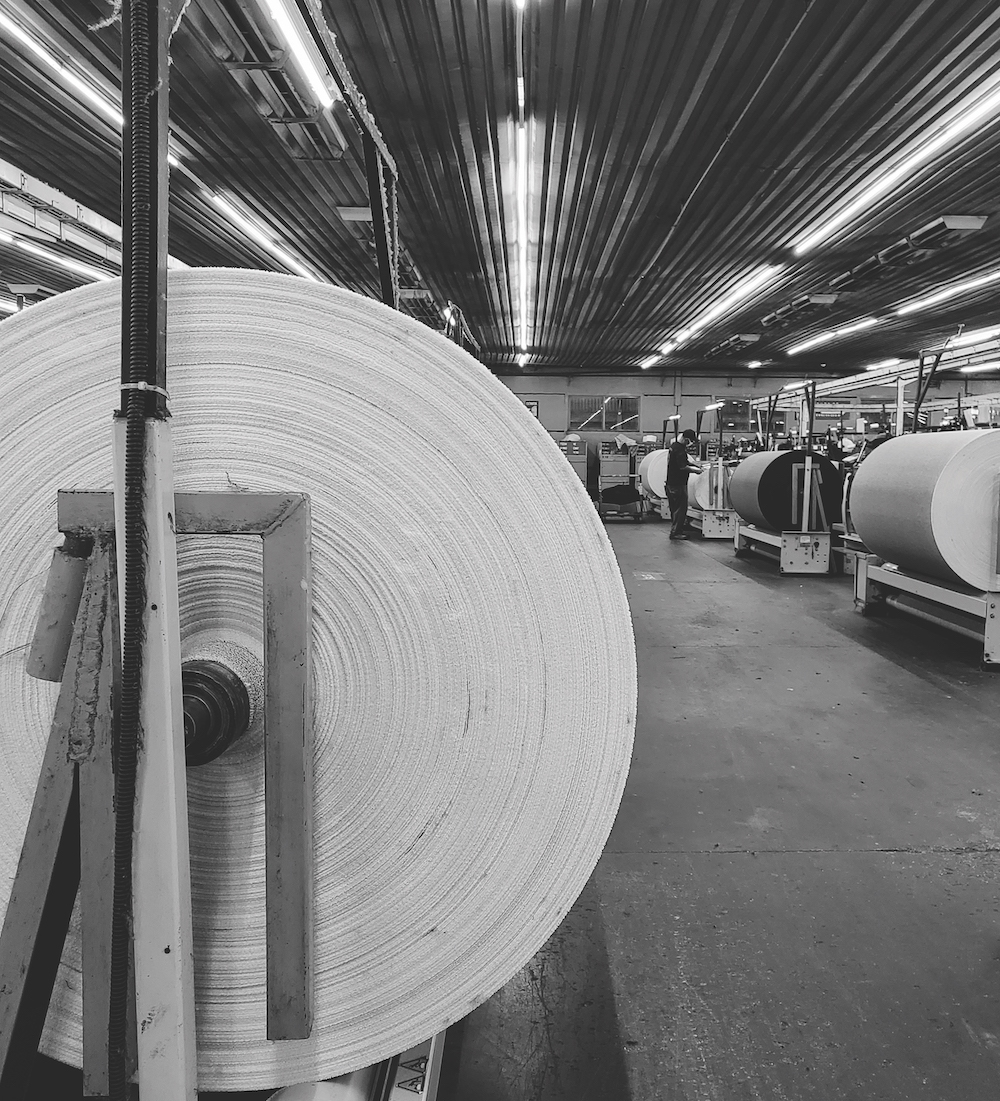 Inside Panda Biotech's Push to Bring U.S.-Grown Hemp Into Mass Production