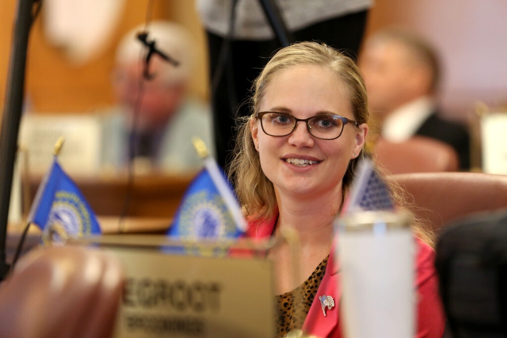 Lawmakers approve sweeping approach to internet porn age verification