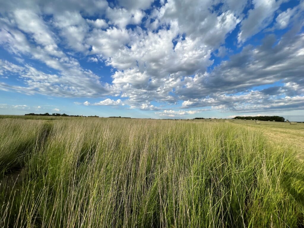 The land ethic of our grandparents is key to our grandchildren's future