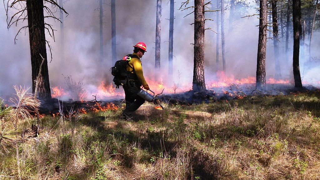 SD Senate supports ‘forever chemical' labels on firefighting protective gear