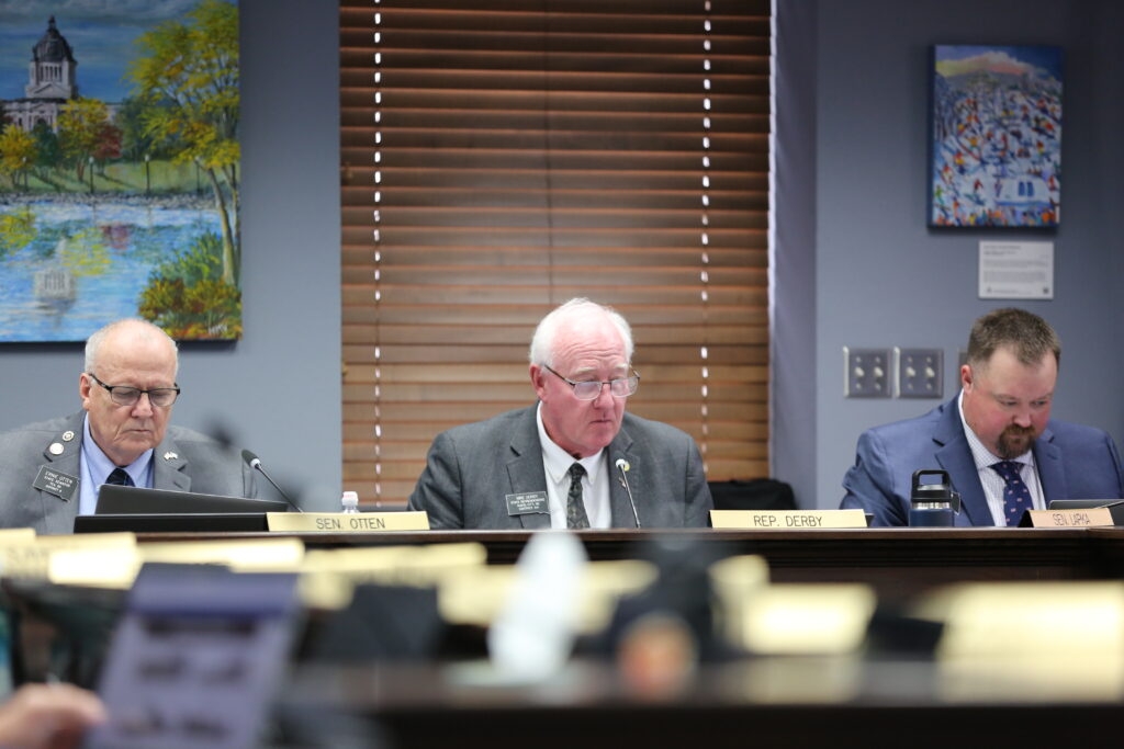 Legislative committee softens budget blow to SD State Library, but concerns remain