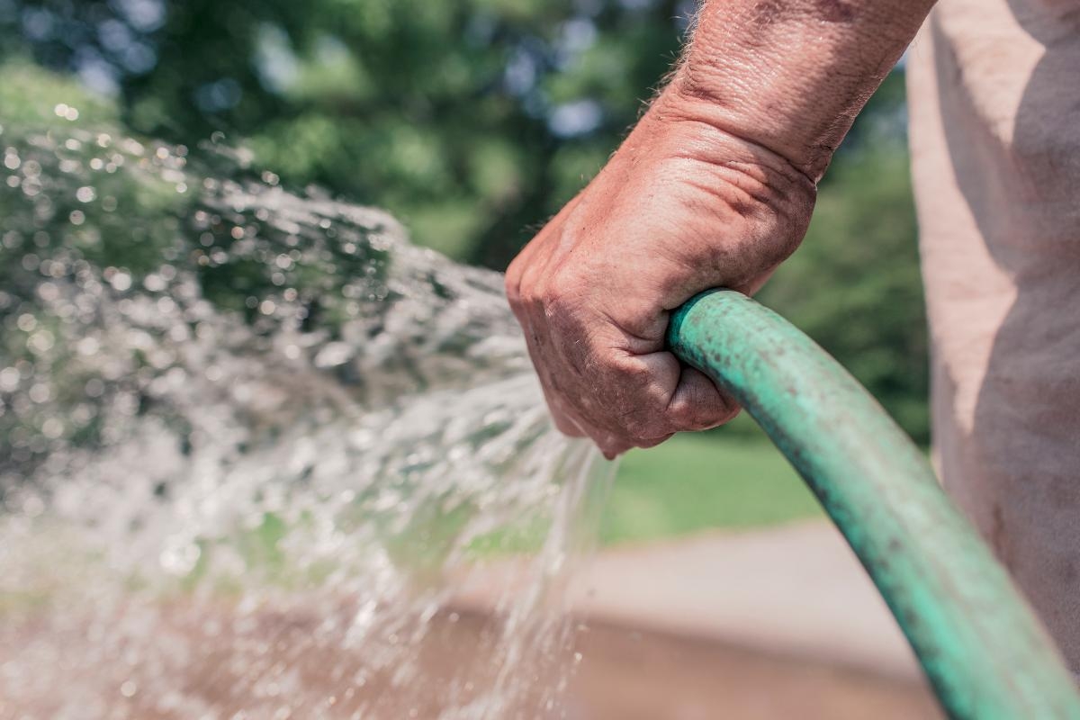 Hosepipe ban looms: Expert advice on how to protect gardens