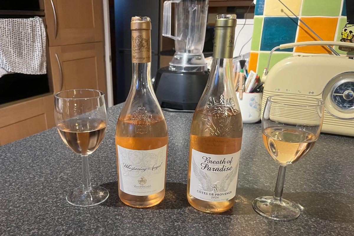 I compared Whispering Angel wine to Lidl's £11 cheaper dupe (but which is best?)