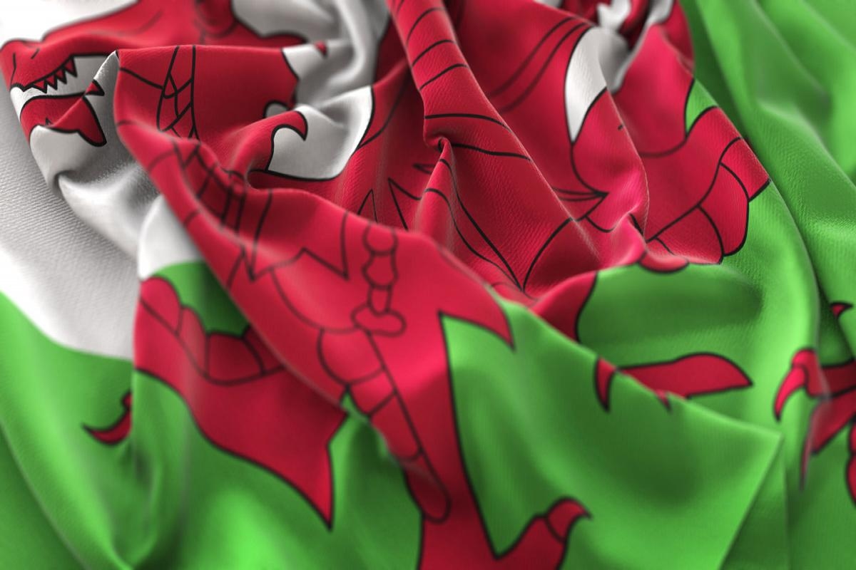 Number of people learning Welsh hits record high