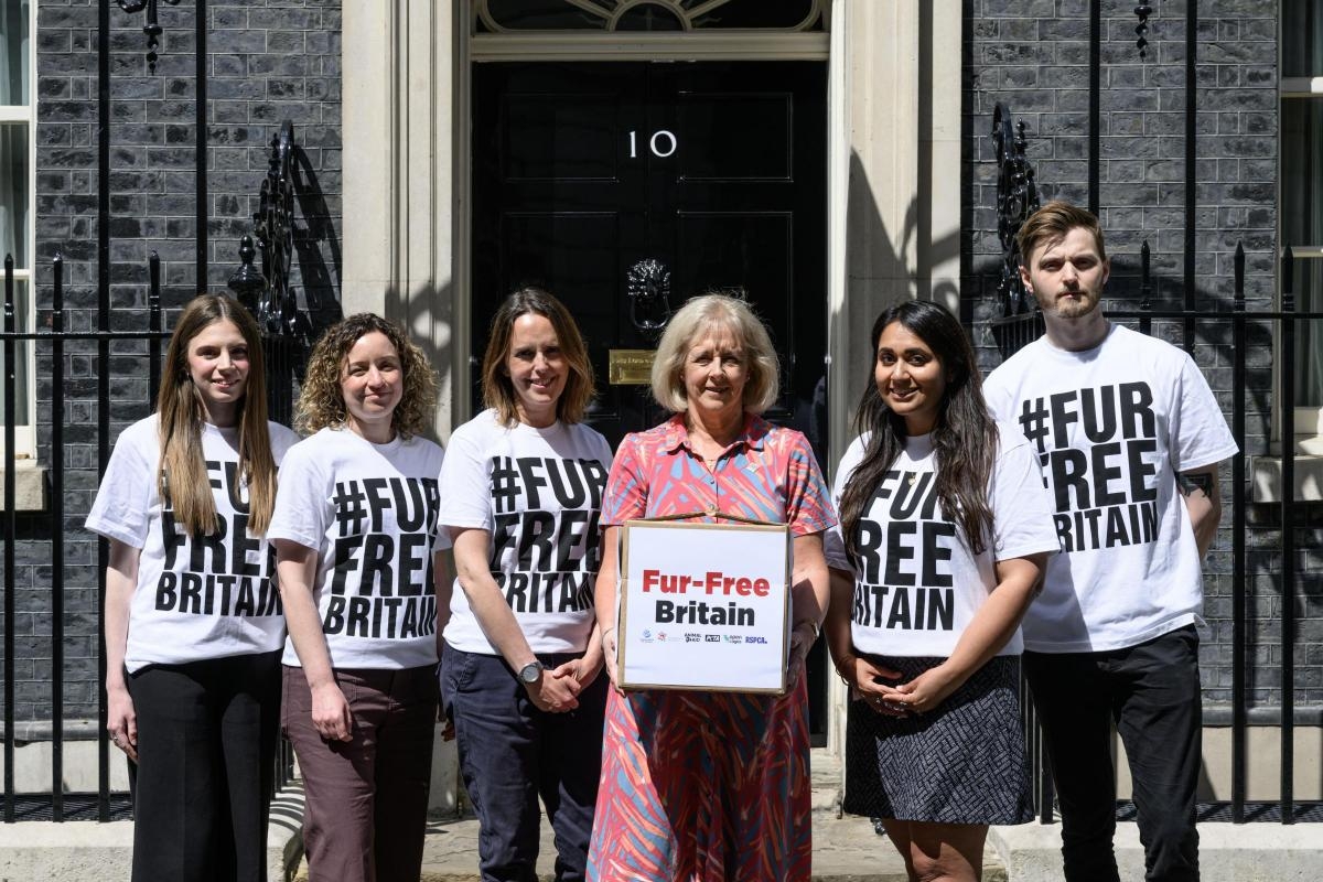 1.5 million signature petition to ban fur imports delivered to PM