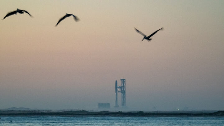 Conservationists raise alarm over Air Force plan to land SpaceX Starships on bird sanctuary atoll