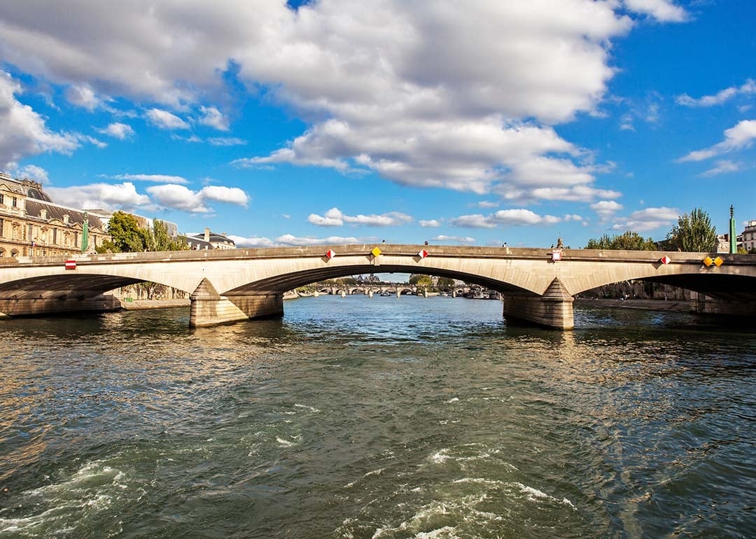 Fish are thriving in the river Seine