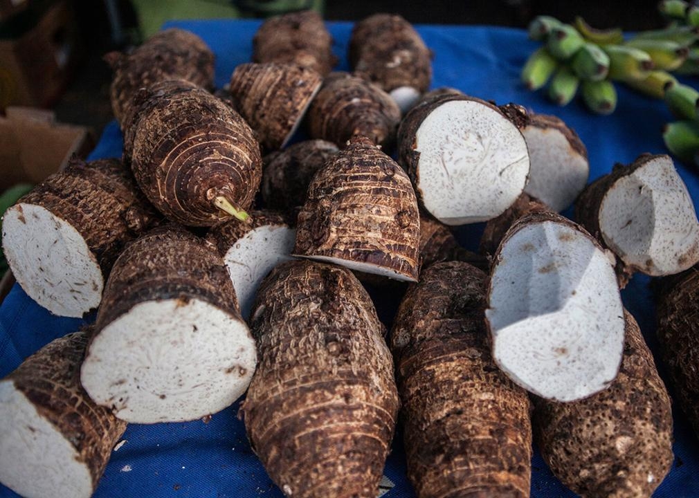 Hawaiian taro takes root in Oregon