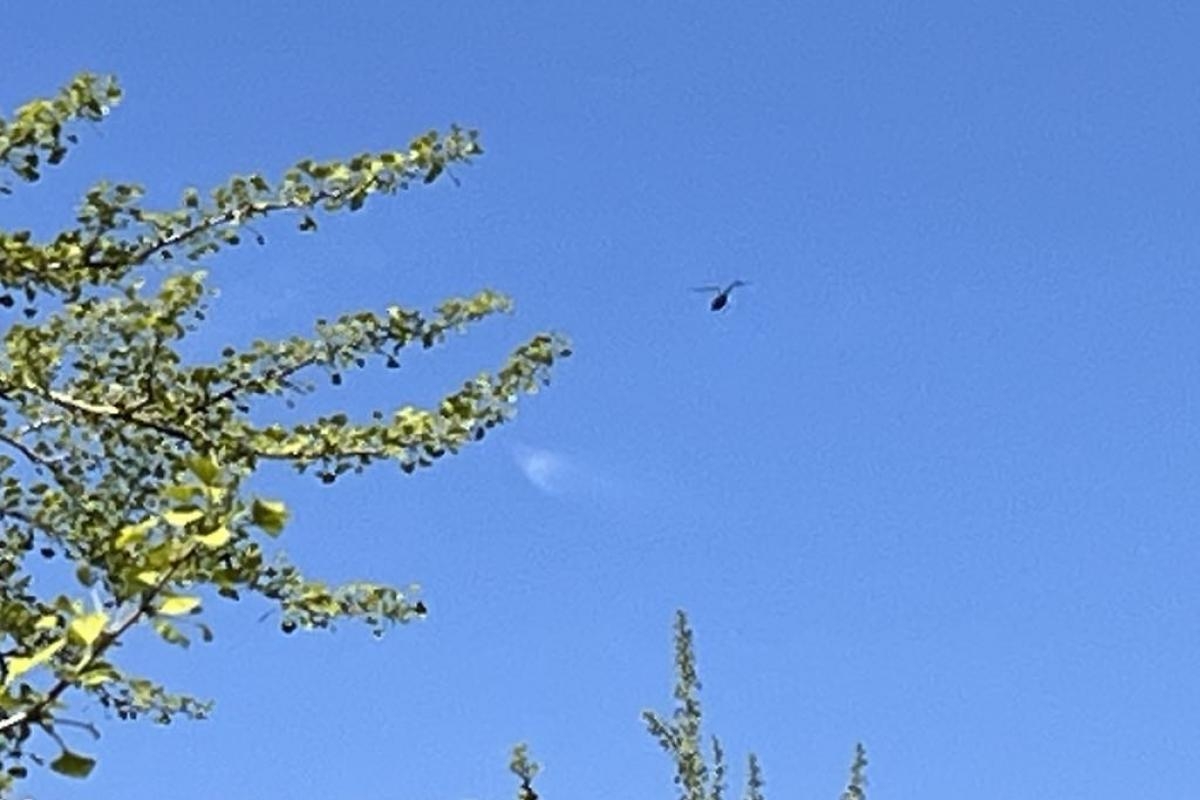 What were those noisy helicopters spotted in the skies above Brierley Hill?