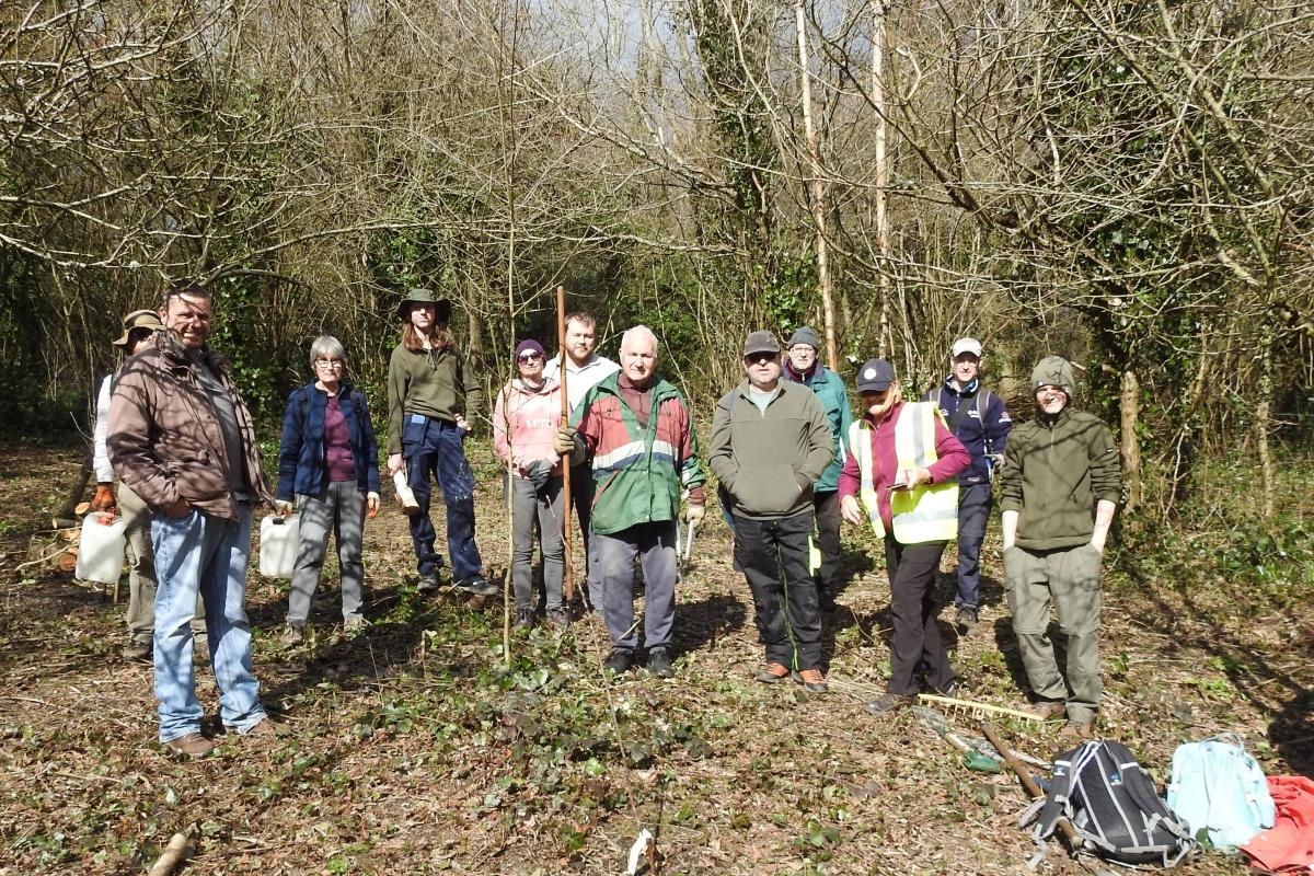 Nature reserve gets apple trees from leading cider maker