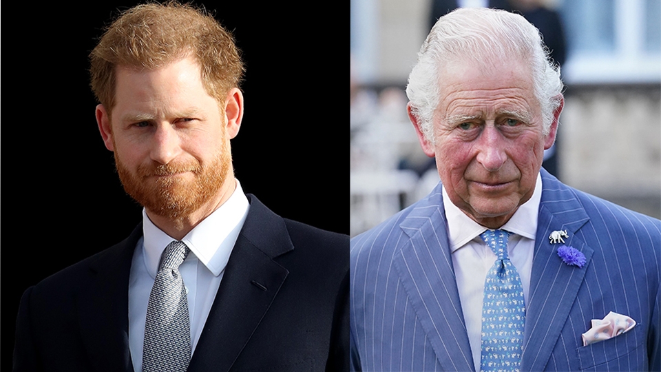 Prince Harry Is ‘Damaging' King Charles' Legacy Amid Reports the Monarch Is a ‘Sick Man'