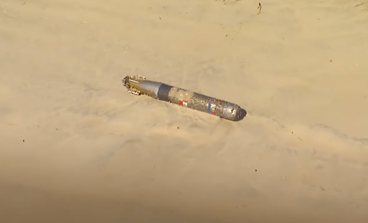 Torpedo Washes Ashore, Aussie Beach on 'Lockdown' (Video)