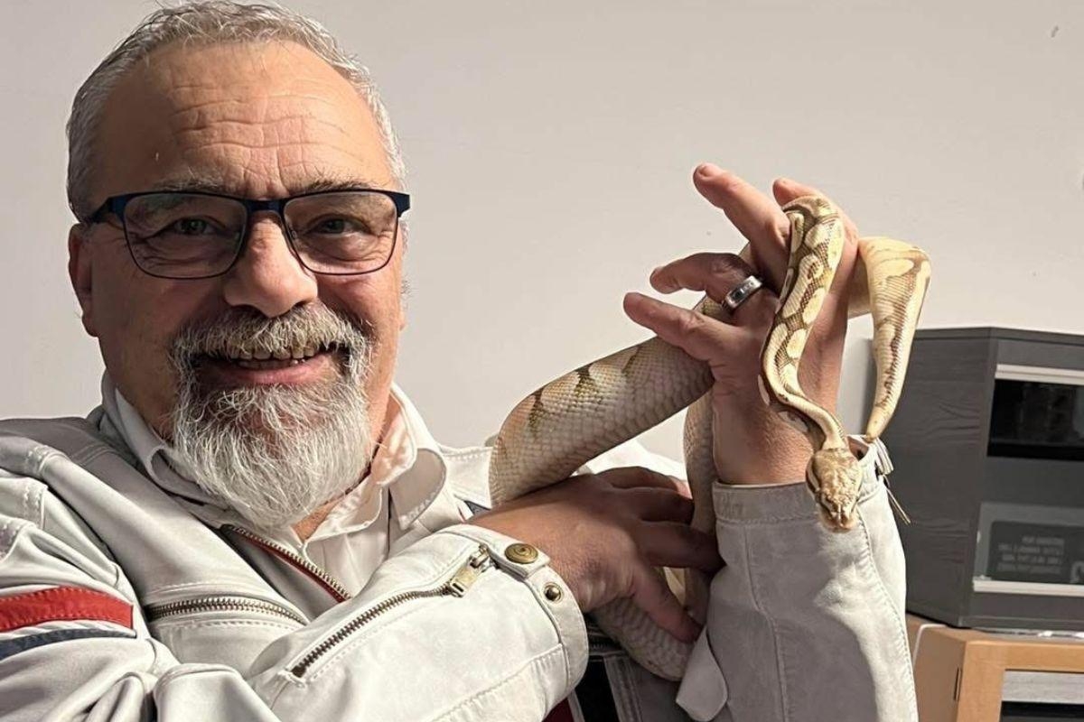 Giant royal python snake found in toilet reunited with owner