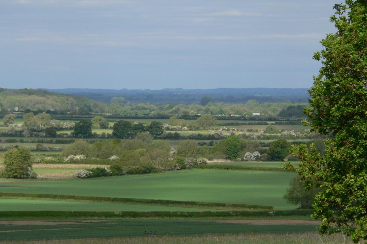Villagers prepare to protest against plans for solar power plant