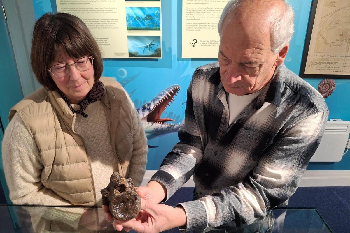 Piece of UK's largest Stegosaur fossil returning ‘home'