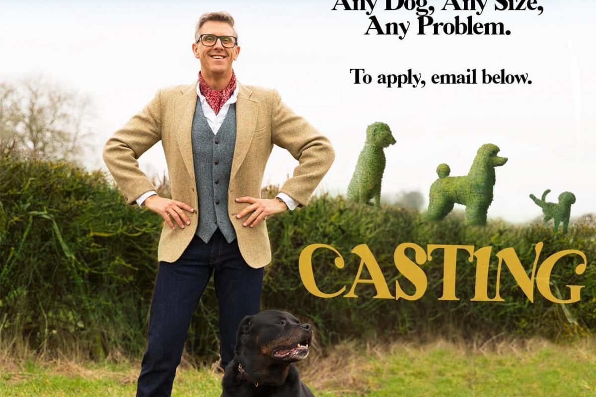 Popular TV show looking for Wiltshire dog owners