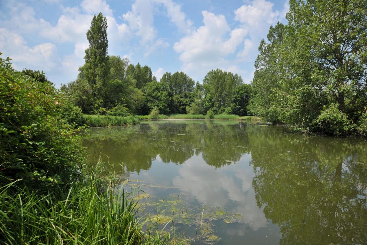 Up to £10million could be invested into Swindon's country parks