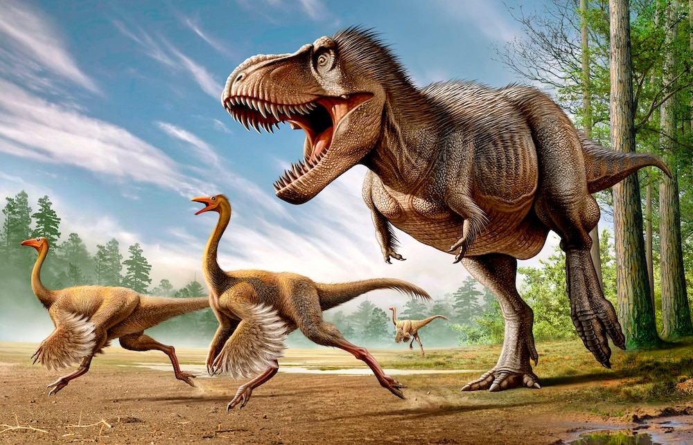Where Did the T. rex Come From? Paleontologists Think They've Finally Figured It Out