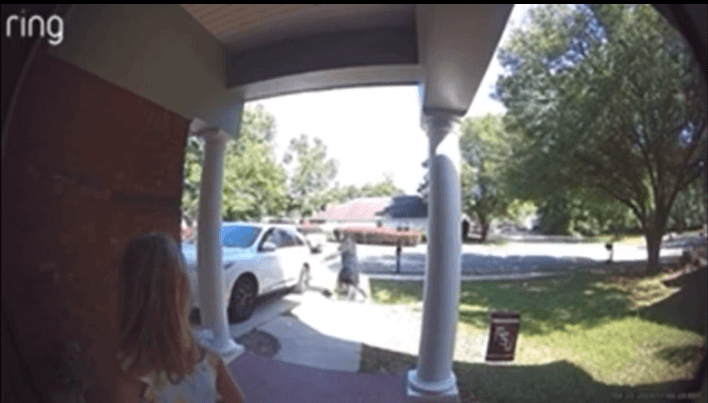 Northeast Tallahassee shooting: Video shows suspect firing at dog in car as kids scream