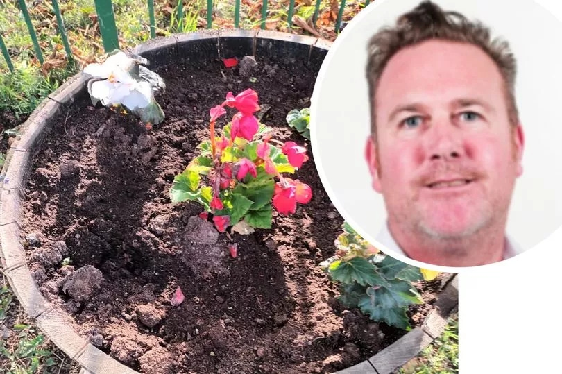 'If it's not nailed down they'll have it': Anger as thieves take flowers paid for by councillor