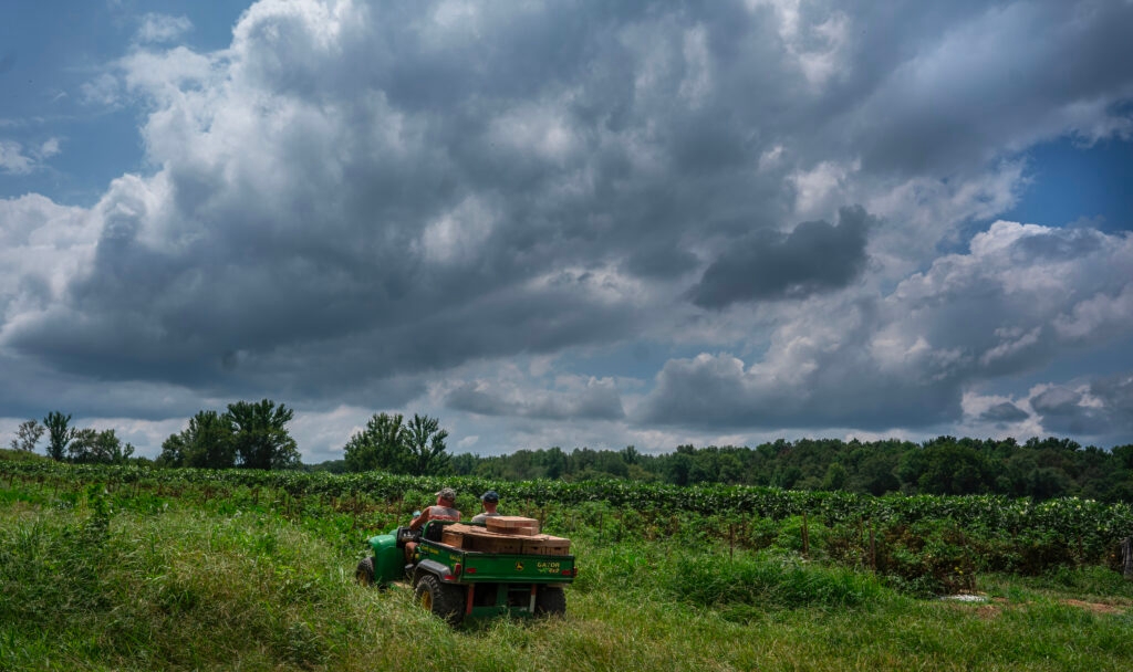 Tennessee governor revives farm conservation bill with $25 million fund
