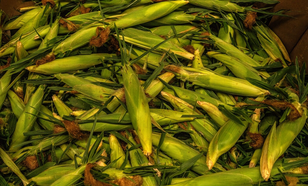 Tennessee students, farmers bear impact of USDA cuts to local food programs for schools, food banks