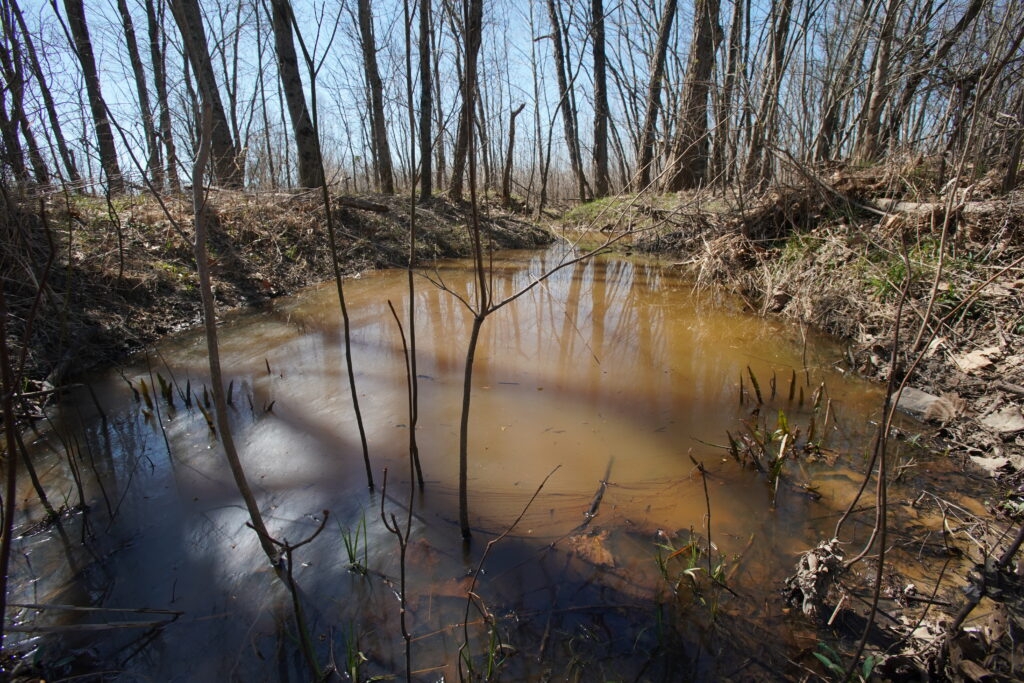 Legislation slashing development oversight of isolated wetlands heads to Gov. Bill Lee's desk