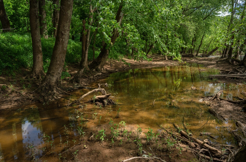 Gov. Bill Lee wanted $100M for Duck River projects. Lawmakers approved $65M