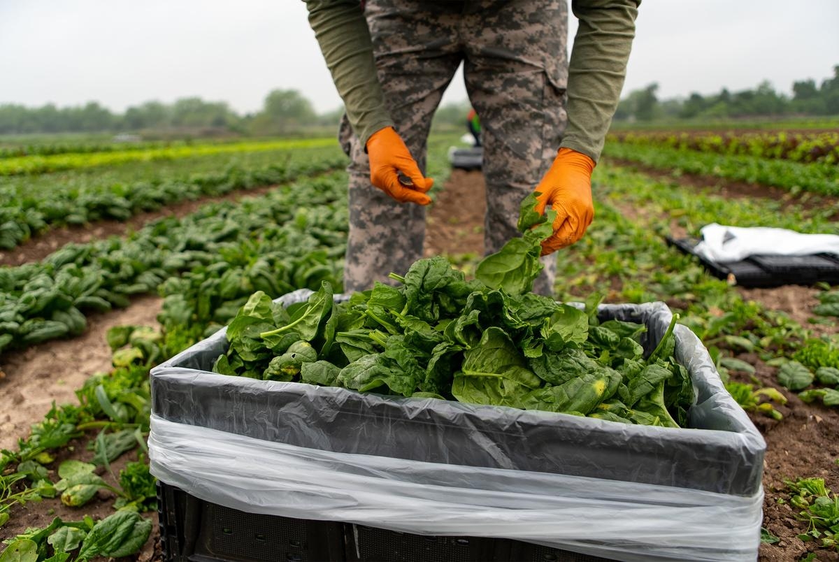Texas farmers could have greater access to low-interest loans under a bill the Senate is considering