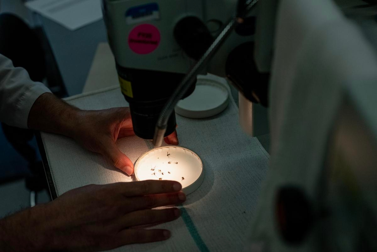 Texas public health departments brace for another $119 million in federal cuts