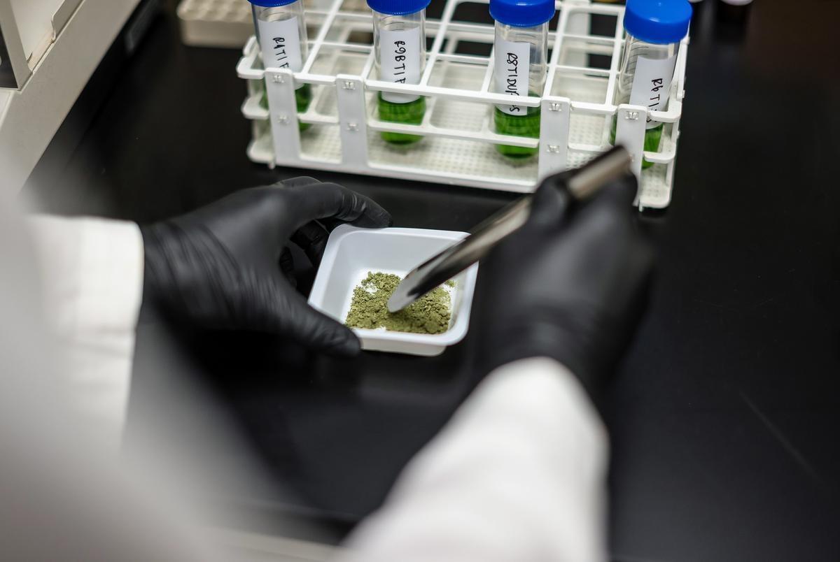 Texas likely to expand medical marijuana program eligibility amid looming hemp ban