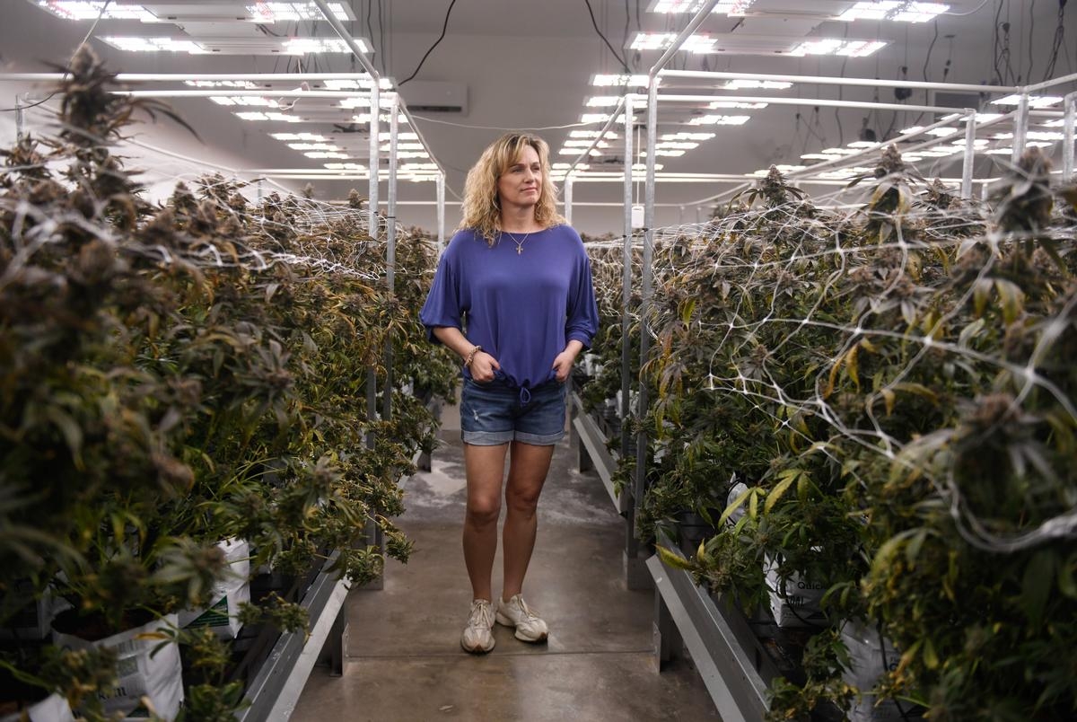 THC ban will destroy Texas' hemp agriculture industry, farmers say
