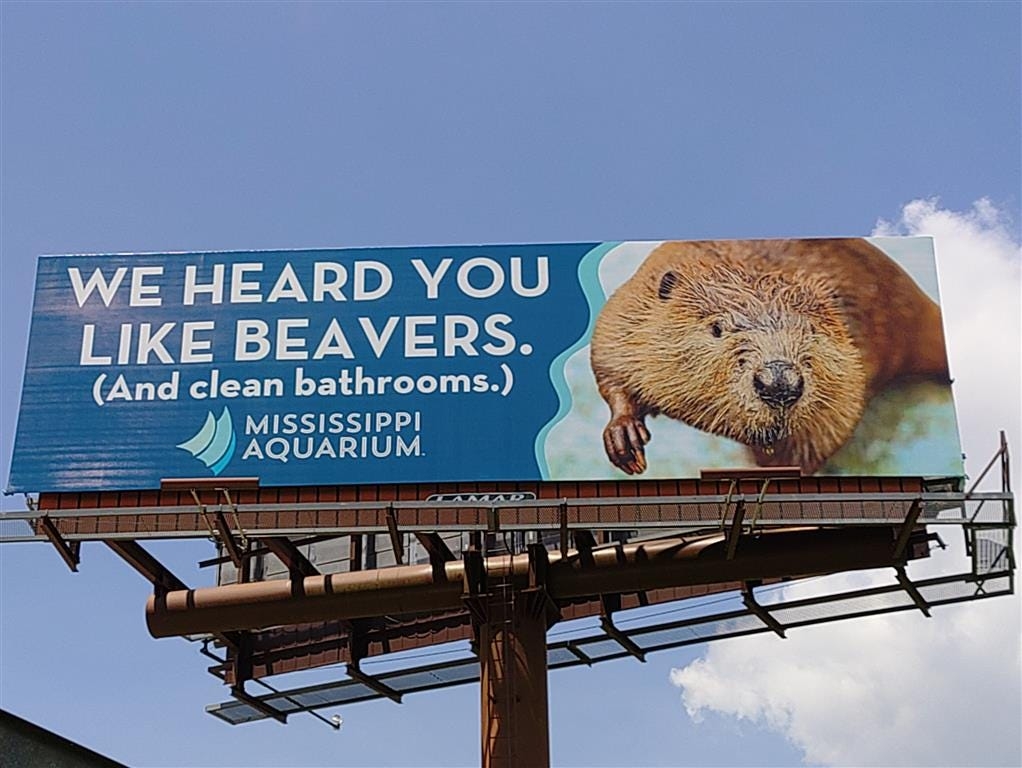 Mississippi Aquarium beaver billboards show similarities with new Buc-ee's opening soon