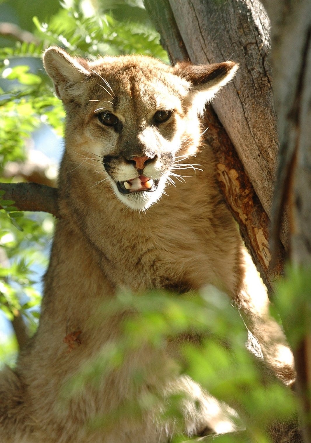 Colorado settles lawsuit claiming wildlife commissioners violated open meeting law