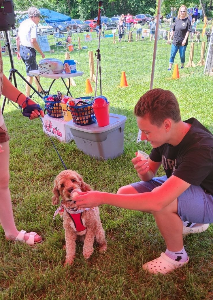 Dog lovers: Here's what's happening at Bark in the Park this year