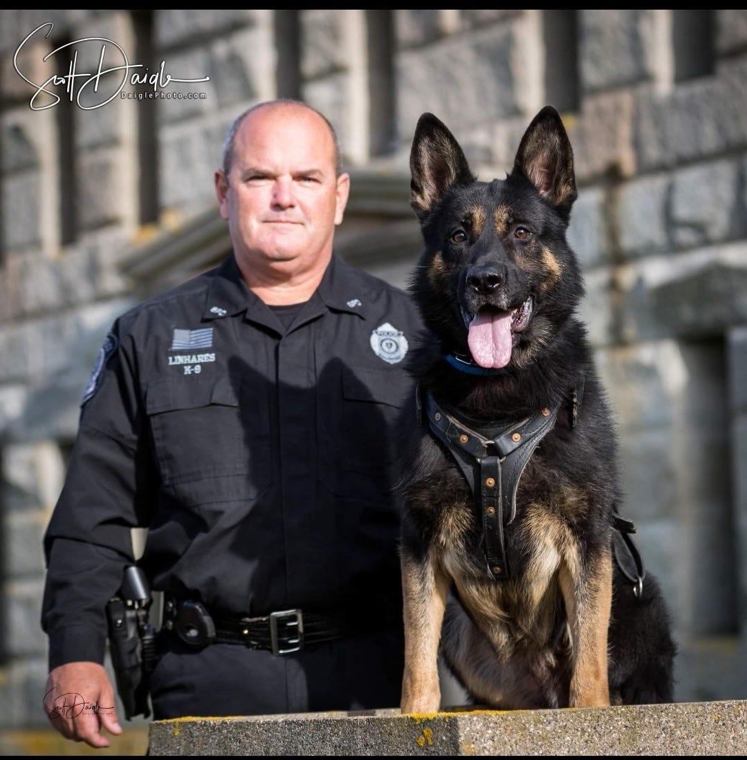 Somerset mourns death of 'loyal' retired police K-9 Viepo. What made this dog so special?