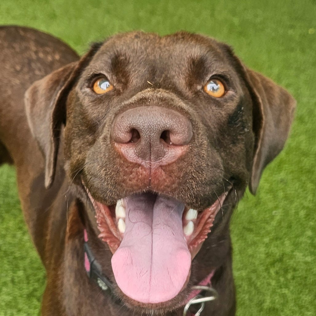 Baby Girl and her best buddy Cloud are a dynamic duo and double the love