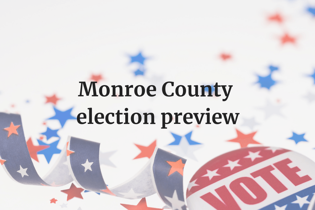 Just one issue on Aug. 5 ballot in Monroe County