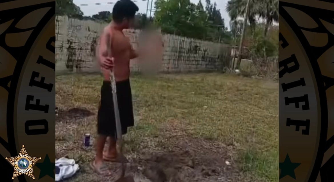 Fort Myers man accused of violently killing, burying kitten