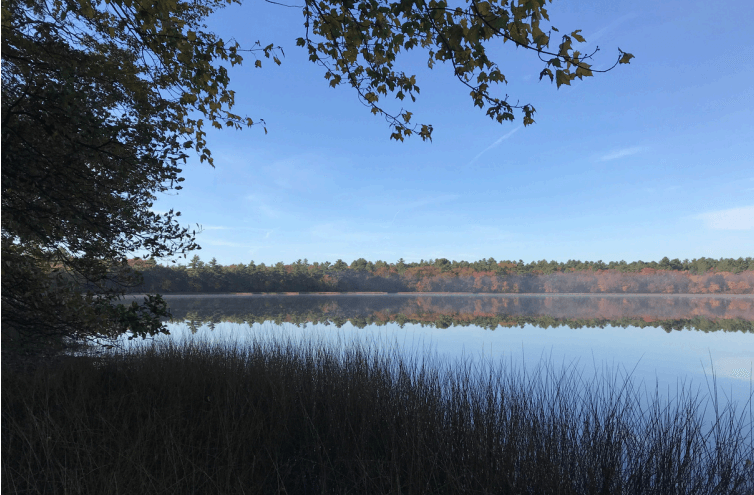 $100,000 grant helps bring Yawgoo Pond Trail closer to restoration. Here's what's planned.