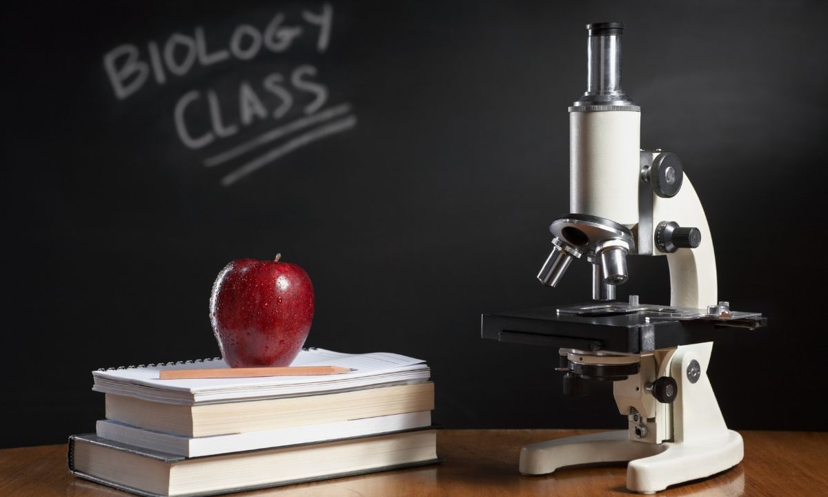Teaching Science & Reading Together Yields Double Benefits for Learning