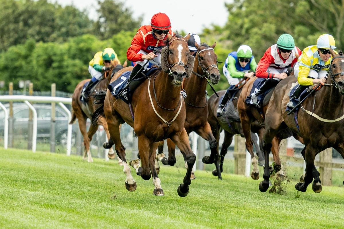 Tipsters revel their fancy for biggest race of the year at Brighton