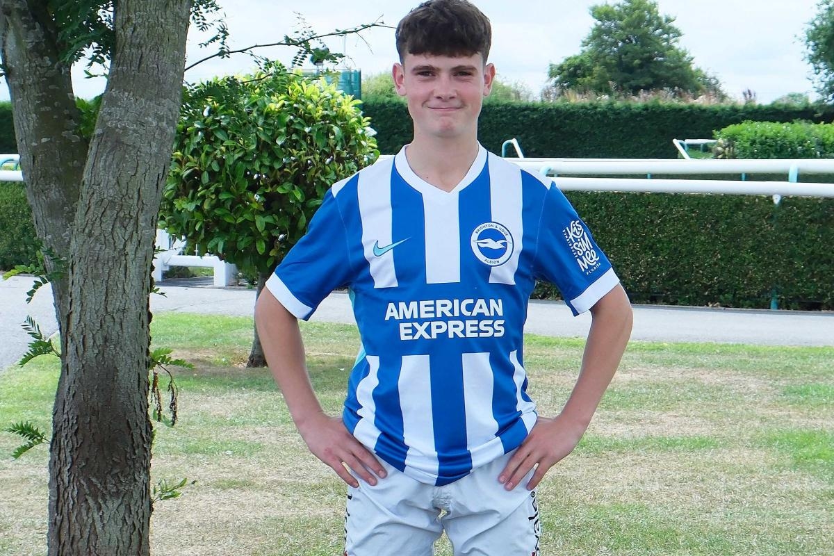 Brighton Racecourse ready for Festival - with special offer for Albion fans
