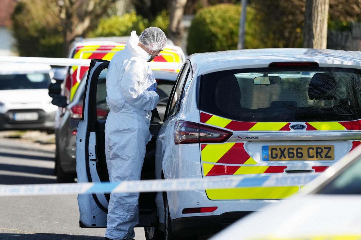 Shocked neighbour heard 'screaming' during 'attack' in property